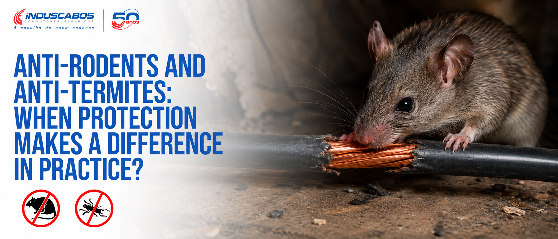 Post banner: Rodent- and termite-resistant cable: when to use it in electrical specifications