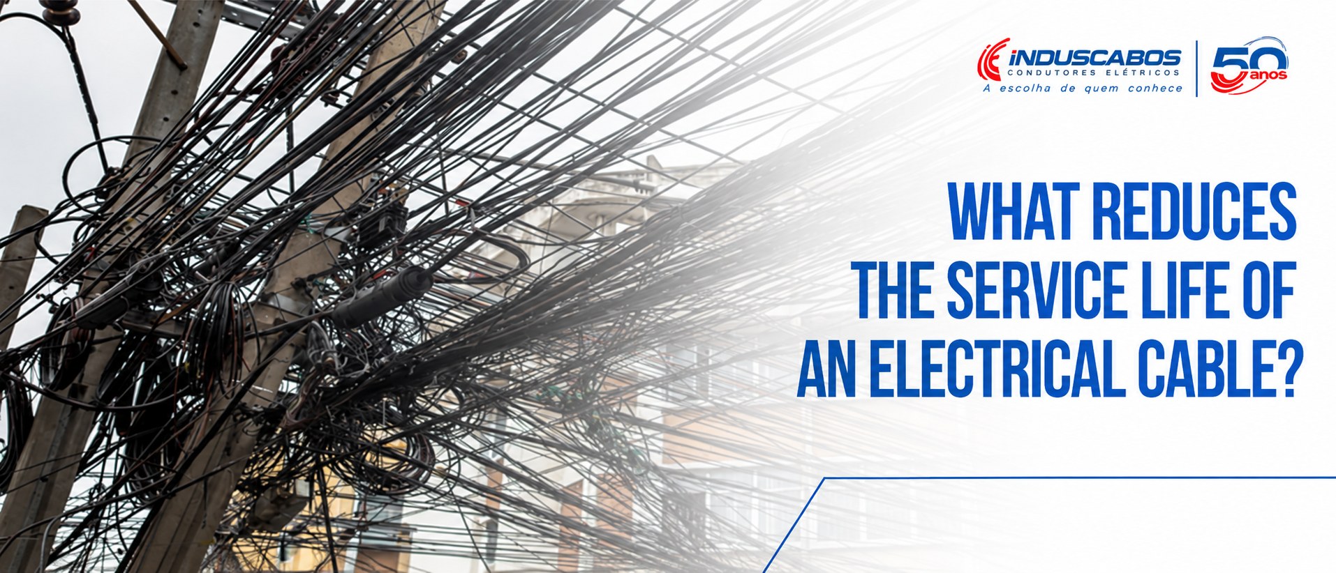 Post banner: Service life of electrical cables: what reduces durability