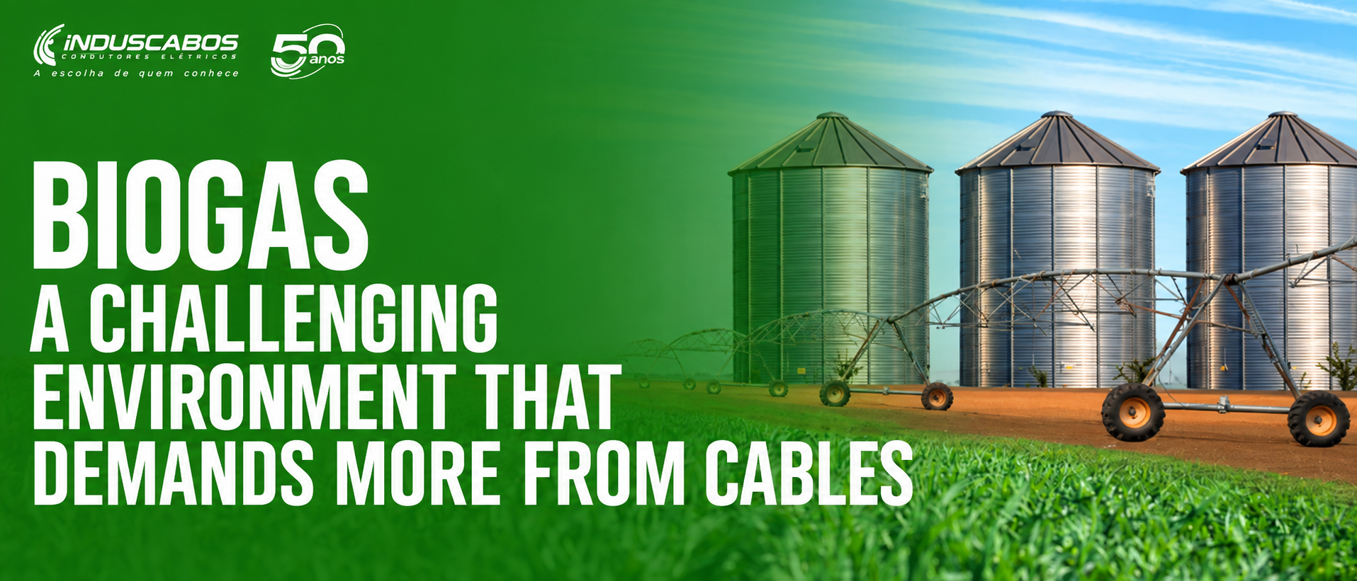 Post banner Electrical cables for biogas: why specification requires more attention