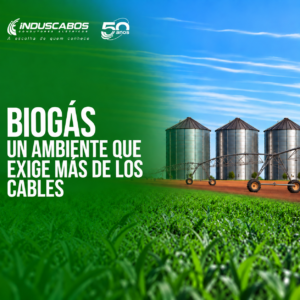 BIOGAS CAPA ES