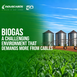 BIOGAS CAPA IN