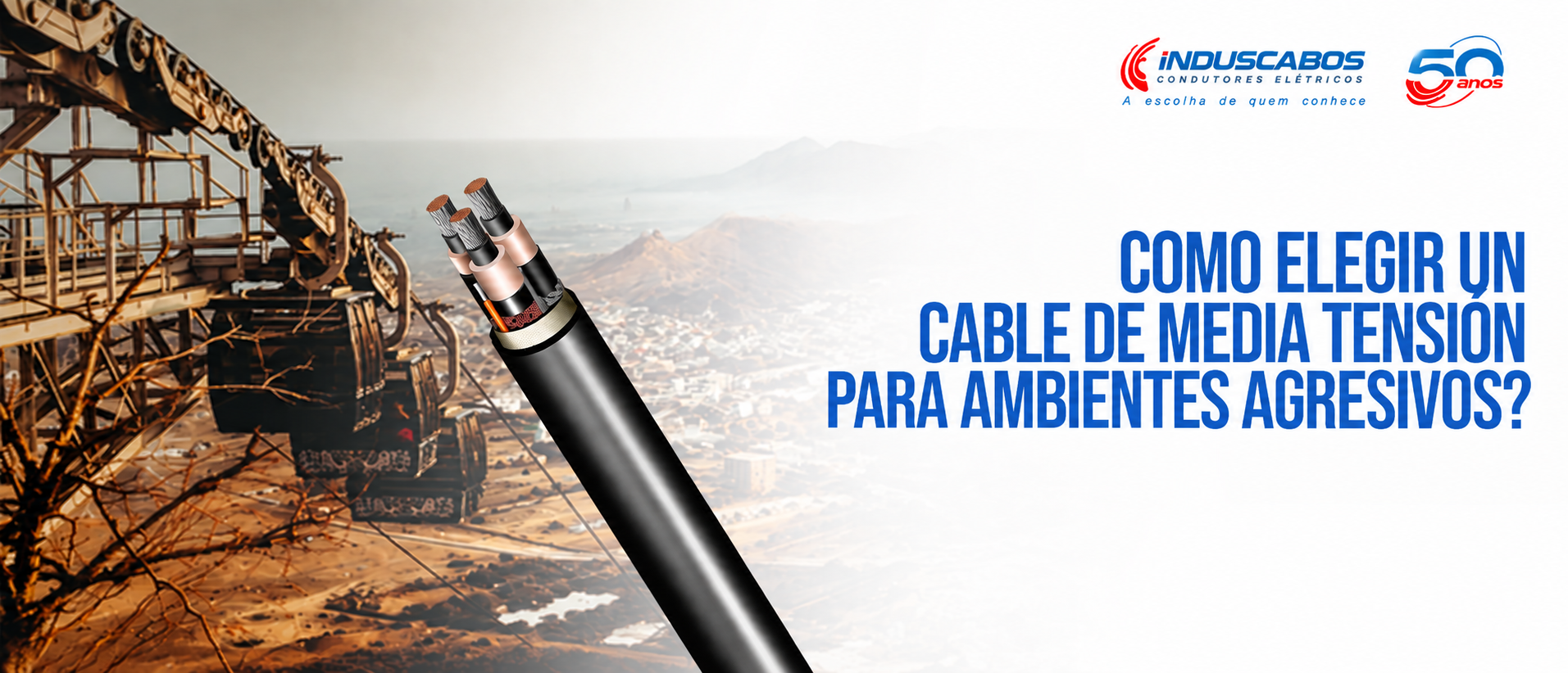 Banner del post Cómo elegir un cable de media tensión para ambientes agresivos
